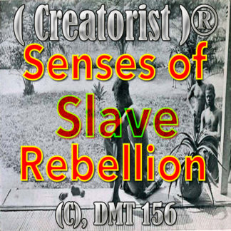 Senses Of Slave Rebellion CDMT 156